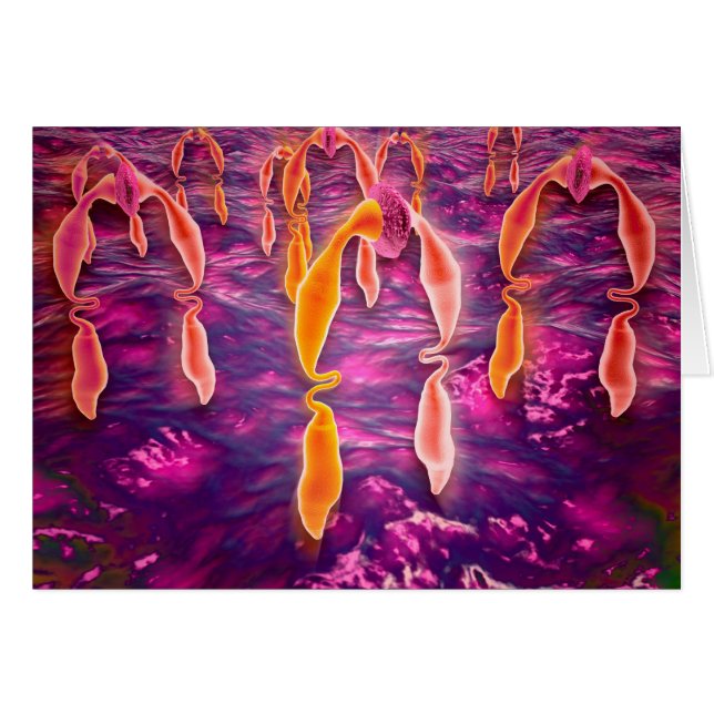 Microscopisch Uitzicht van ligand dat aan een rece (Voorkant Horizontaal)