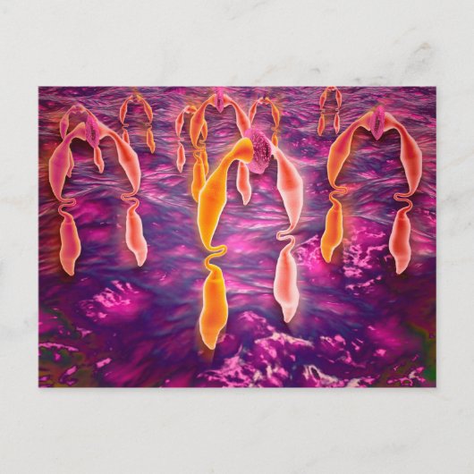 Microscopisch Uitzicht van ligand dat aan een rece Briefkaart (Voorkant)