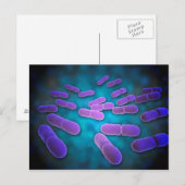 Microscopisch Uitzicht van Listeria monocytogenes  Briefkaart (Voorkant / Achterkant)