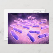 Microscopisch Uitzicht van Listeria monocytogenes Briefkaart (Voorkant / Achterkant)