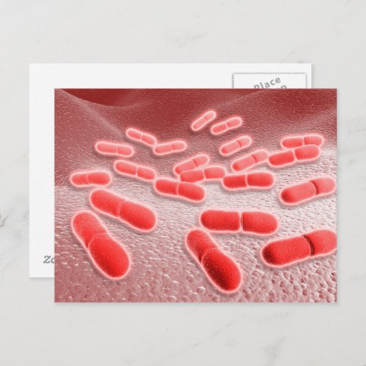 Microscopisch Uitzicht van Listeria monocytogenes Briefkaart (Voorkant / Achterkant)
