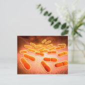 Microscopisch Uitzicht van Listeria monocytogenes Briefkaart (Staand voorkant)