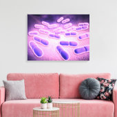Microscopisch Uitzicht van Listeria monocytogenes Canvas Afdruk (Insitu (Woonkamer))