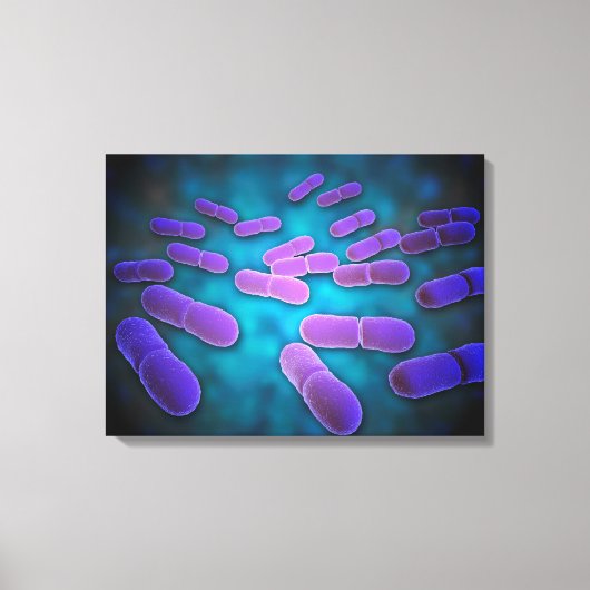 Microscopisch Uitzicht van Listeria monocytogenes  Canvas Afdruk (Voorkant)