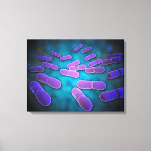 Microscopisch Uitzicht van Listeria monocytogenes  Canvas Afdruk