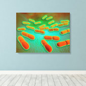 Microscopisch Uitzicht van Listeria monocytogenes Canvas Afdruk (Insitu (Houten vloer))