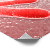 Microscopisch Uitzicht van Listeria monocytogenes  Poster (Hoek)