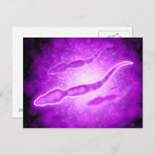 Microscopisch Uitzicht van mannetjespermcellen Briefkaart (Voorkant / Achterkant)