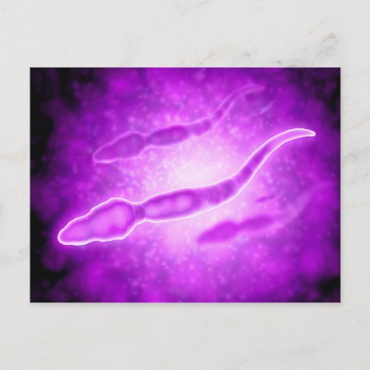 Microscopisch Uitzicht van mannetjespermcellen Briefkaart (Voorkant)