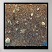 Microscopisch Uitzicht van Martian Soil Poster (Voorkant)