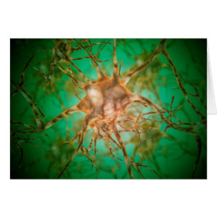 Microscopisch Uitzicht van meervoudige zenuwcellen