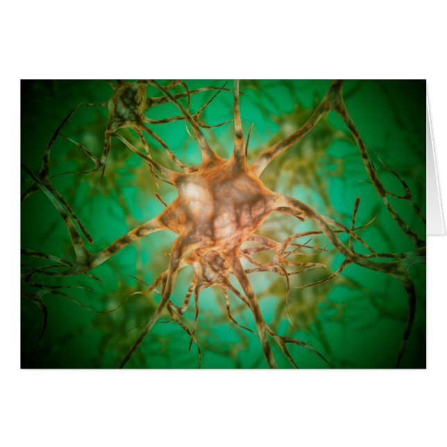 Microscopisch Uitzicht van meervoudige zenuwcellen (Voorkant Horizontaal)