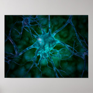 Microscopisch Uitzicht van meervoudige zenuwcellen Poster