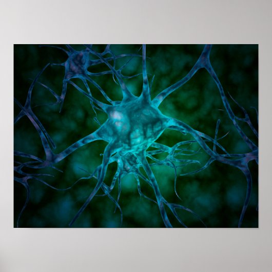 Microscopisch Uitzicht van meervoudige zenuwcellen Poster (Voorkant)