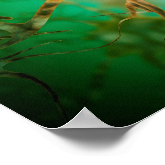 Microscopisch Uitzicht van meervoudige zenuwcellen Poster (Hoek)