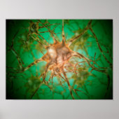 Microscopisch Uitzicht van meervoudige zenuwcellen Poster (Voorkant)
