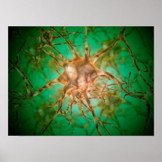 Microscopisch Uitzicht van meervoudige zenuwcellen Poster (Voorkant)