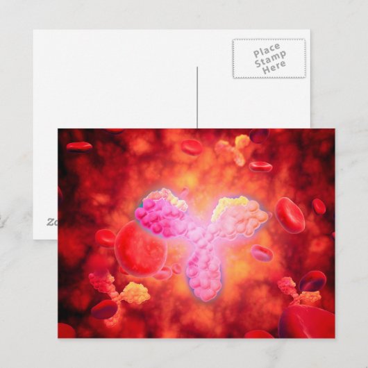 Microscopisch Uitzicht van menselijke antilichamen Briefkaart (Voorkant / Achterkant)