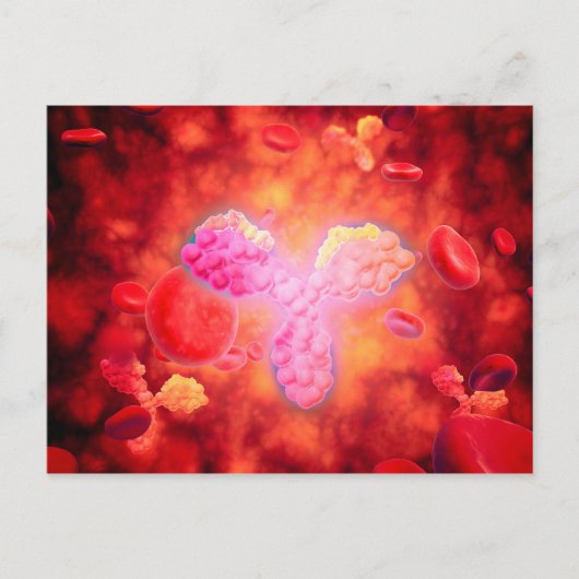 Microscopisch Uitzicht van menselijke antilichamen Briefkaart (Voorkant)