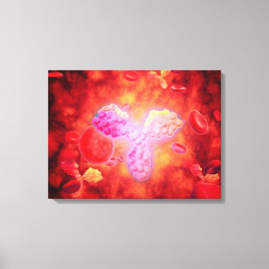Microscopisch Uitzicht van menselijke antilichamen Canvas Afdruk (Voorkant)