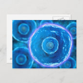 Microscopisch Uitzicht van menselijke B-cellen 1 Briefkaart (Voorkant / Achterkant)