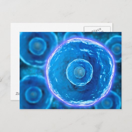 Microscopisch Uitzicht van menselijke B-cellen 1 Briefkaart (Voorkant / Achterkant)