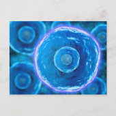 Microscopisch Uitzicht van menselijke B-cellen 1 Briefkaart (Voorkant)