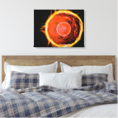 Microscopisch Uitzicht van menselijke B-cellen 3 Canvas Afdruk (Insitu (Slaapkamer))