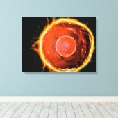 Microscopisch Uitzicht van menselijke B-cellen 3 Canvas Afdruk (Insitu (Houten vloer))