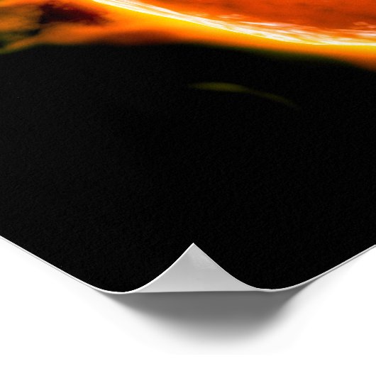 Microscopisch Uitzicht van menselijke B-cellen 3 Poster (Hoek)