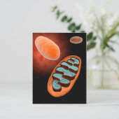 Microscopisch Uitzicht van Mitochondria 1 Briefkaart (Staand voorkant)