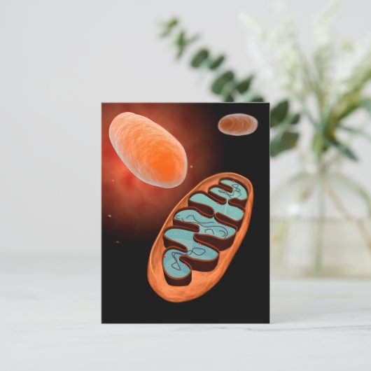 Microscopisch Uitzicht van Mitochondria 1 Briefkaart (Staand voorkant)