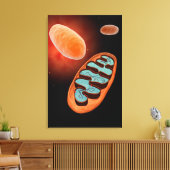 Microscopisch Uitzicht van Mitochondria 1 Canvas Afdruk (Insitu (Woonkamer))