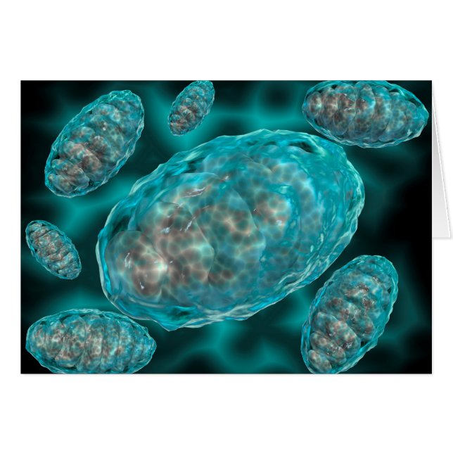 Microscopisch Uitzicht van Mitochondria 2 (Voorkant Horizontaal)