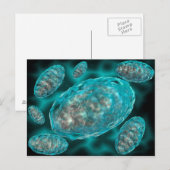 Microscopisch Uitzicht van Mitochondria 2 Briefkaart (Voorkant / Achterkant)