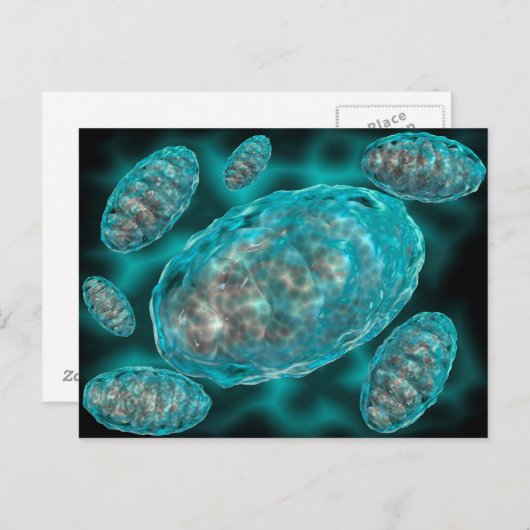 Microscopisch Uitzicht van Mitochondria 2 Briefkaart (Voorkant / Achterkant)