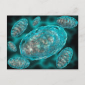 Microscopisch Uitzicht van Mitochondria 2 Briefkaart (Voorkant)