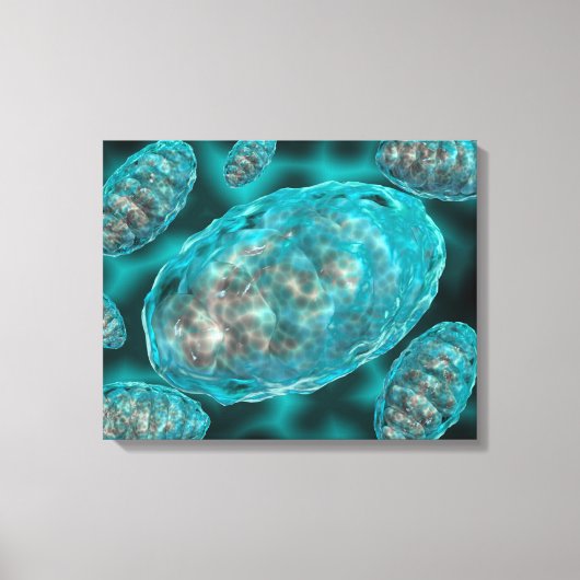 Microscopisch Uitzicht van Mitochondria 2 Canvas Afdruk (Voorkant)