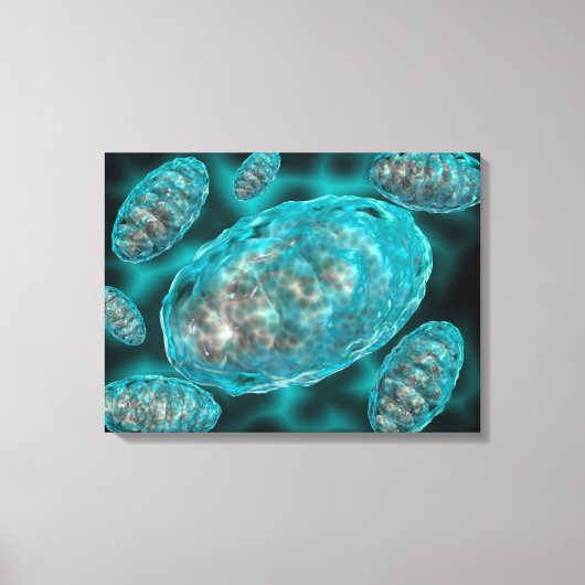 Microscopisch Uitzicht van Mitochondria 2 Canvas Afdruk (Voorkant)