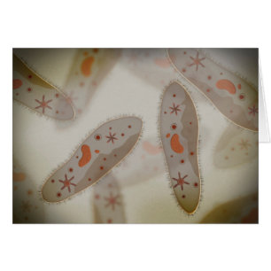 Microscopisch Uitzicht van paramecium 1
