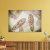 Microscopisch Uitzicht van paramecium 1 Canvas Afdruk (Insitu (Woonkamer))