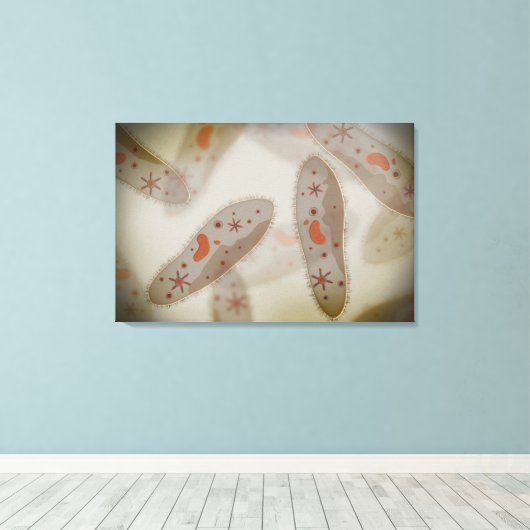 Microscopisch Uitzicht van paramecium 1 Canvas Afdruk (Insitu (Houten vloer))