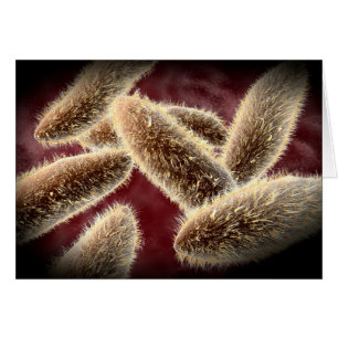 Microscopisch Uitzicht van paramecium 2