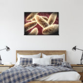 Microscopisch Uitzicht van paramecium 2 Canvas Afdruk (Insitu (Slaapkamer))