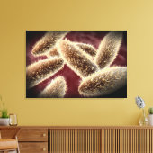 Microscopisch Uitzicht van paramecium 2 Canvas Afdruk (Insitu (Woonkamer))