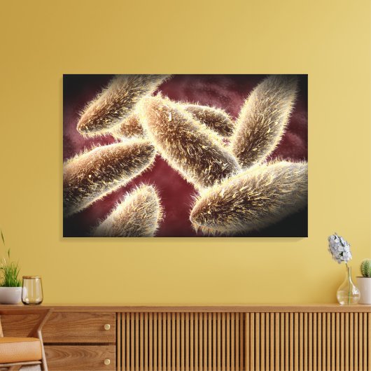 Microscopisch Uitzicht van paramecium 2 Canvas Afdruk (Insitu (Woonkamer))