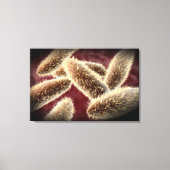 Microscopisch Uitzicht van paramecium 2 Canvas Afdruk (Voorkant)