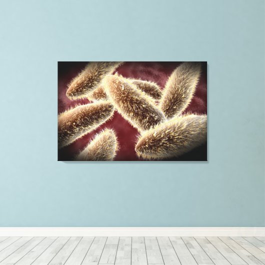Microscopisch Uitzicht van paramecium 2 Canvas Afdruk (Insitu (Houten vloer))