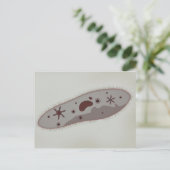 Microscopisch Uitzicht van paramecium 3 Briefkaart (Staand voorkant)