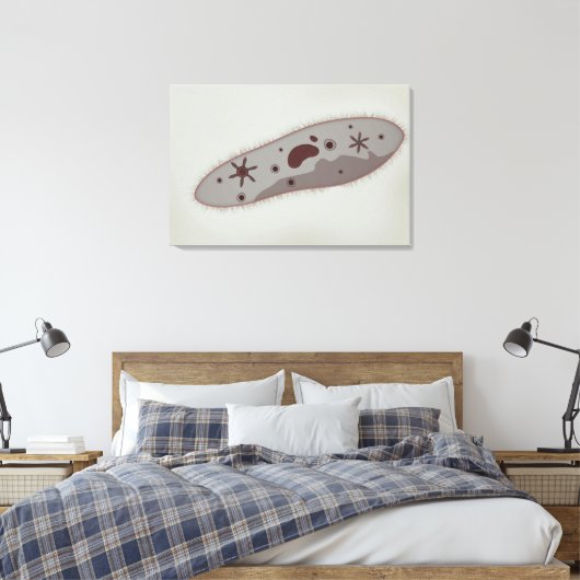Microscopisch Uitzicht van paramecium 3 Canvas Afdruk (Insitu (Slaapkamer))